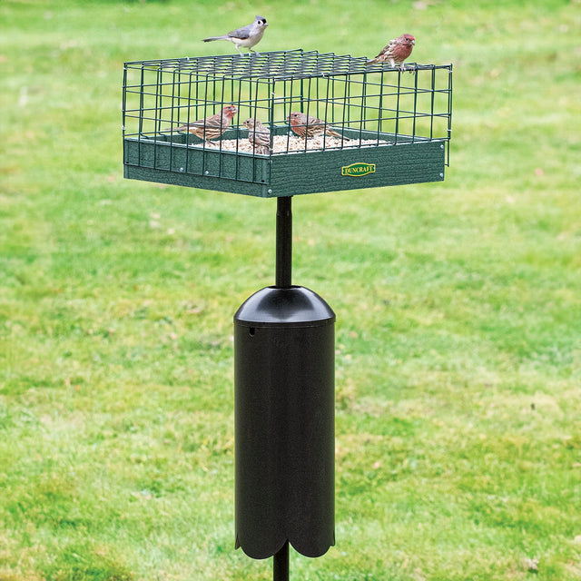 Duncraft Post Platform Haven Feeder with a wire cage and squirrel baffle, housing small songbirds on a seed-filled tray, designed to protect from larger pests.