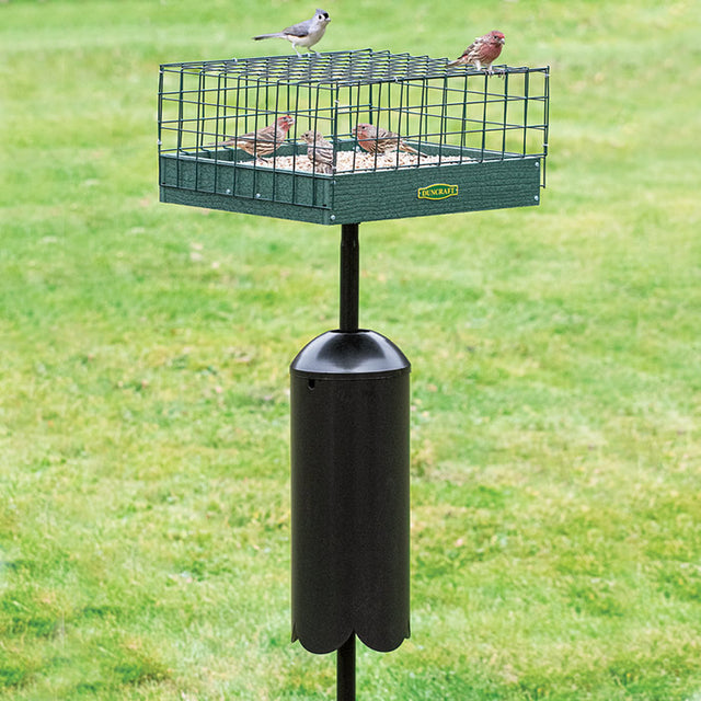 Duncraft Post Platform Haven Feeder with birds inside a caged feeder on a pole, designed to protect small birds from larger birds and squirrels.