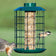 Duncraft Sunflower Mesh Accent Haven Feeder with protective cage, two songbirds feeding; black-capped chickadee holds peanut, highlighting bird-friendly design.