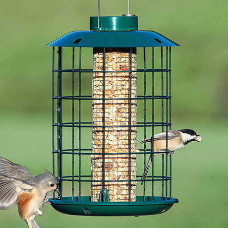 Duncraft Sunflower Mesh Accent Haven Feeder with birds flying around and one perched on the cage, featuring a metal mesh and bottom tray for feeding.