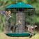Duncraft Nyjer® Mesh Accent Selective Feeder with green metal cage, four small songbirds feeding, and durable squirrel-proof design for small birds like finches.