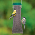 Duncraft Nyjer® Mesh Sock bird feeder with two birds perched, featuring a metal mesh for unlimited feeding spots and a flip-top metal cap.