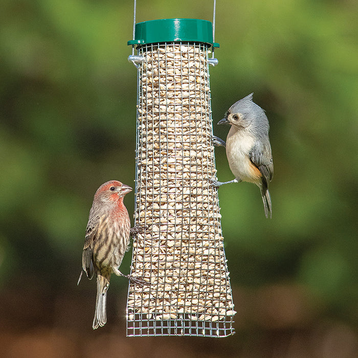 Duncraft Sunflower Mesh Sock with two birds feeding on the metal mesh bird feeder, showcasing multiple clinging spots and a flip-top lid for easy filling.