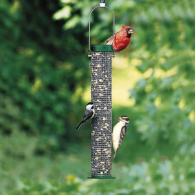 Duncraft Sunflower Mesh Tube Feeder with a red bird perched, designed for small birds to cling and feed. Holds 1 lb of sunflower seeds.