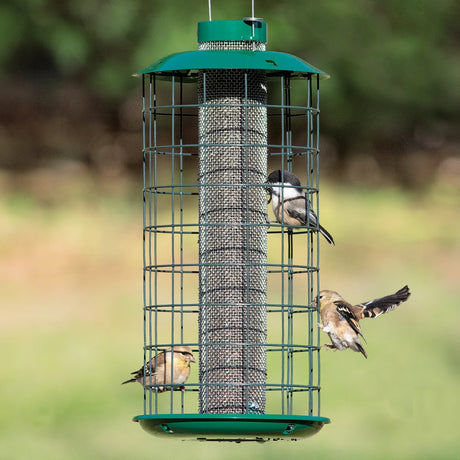 Duncraft Nyjer® Mesh Haven Feeder with metal cage design, small birds feeding on seeds; protects from larger birds, includes squirrel-lock cap.
