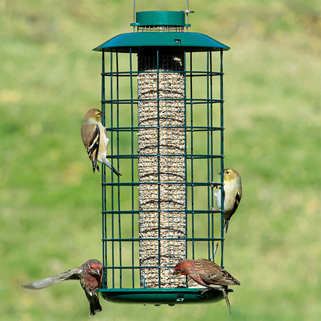 Duncraft Sunflower Mesh Haven Feeder with small birds feeding from metal mesh openings, protected by all-metal wire caging.