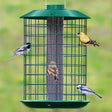 Duncraft Nyjer® Mesh Metal Selective feeder with chickadees, goldfinch, and finch feeding; outer cage deters larger birds and squirrels.