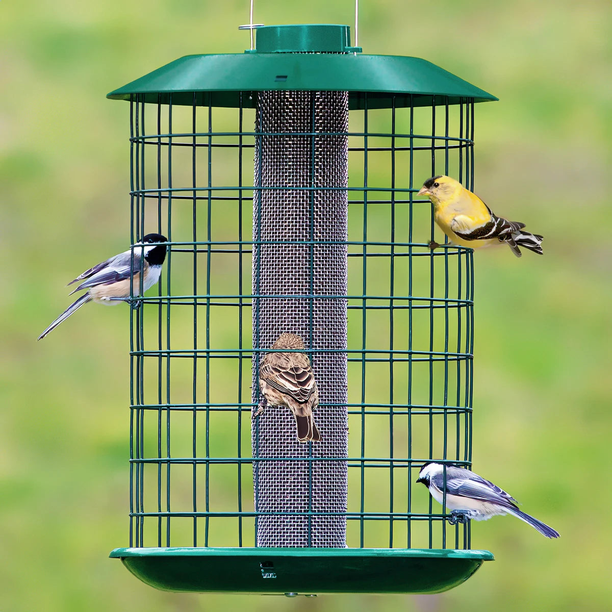 Duncraft Nyjer® Mesh Metal Selective feeder with chickadees, goldfinch, and finch feeding; outer cage deters larger birds and squirrels.