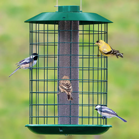 Duncraft Nyjer® Mesh Metal Selective feeder with chickadees, goldfinch, and finch feeding; outer cage deters larger birds and squirrels.