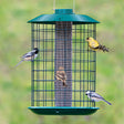 Duncraft Nyjer® Mesh Metal Selective Feeder with birds perched on it, showcasing the protective caging that blocks larger birds and squirrels.