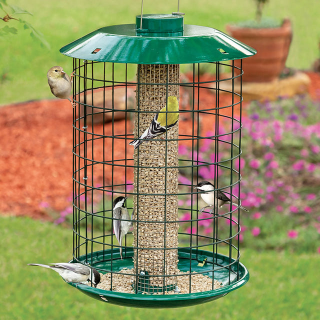 Duncraft Peanut & Sunflower Mesh Metal Selective feeder with birds feeding, featuring a stainless steel mesh tube and a protective roof.