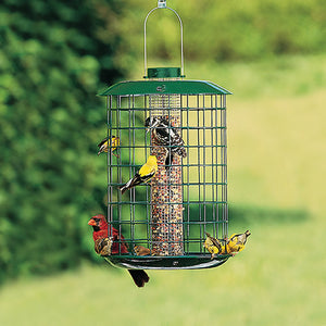 Duncraft Peanut & Sunflower Mesh Metal Selective feeder with small birds feeding through 1-1/2 inch openings, surrounded by a protective metal cage.