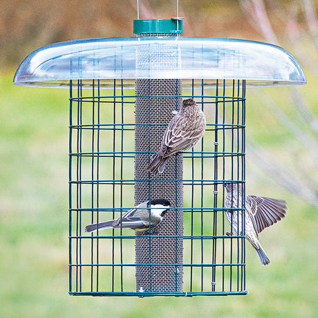 Duncraft Nyjer® Mesh Sentinel Selective feeder with birds clinging and feeding, featuring a metal mesh tube, clearview plastic roof, and wire hanger.