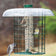 Duncraft Sunflower Mesh Sentinel Selective features a cylindrical seed feeder with protective wire cage, clear rain guard, and four small songbirds feeding.