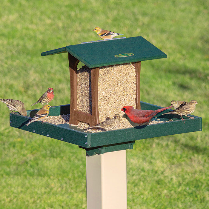 Duncraft Grandview Estate Feeder & Post with Auger, featuring a large platform and hopper filled with seeds, attracting multiple birds.