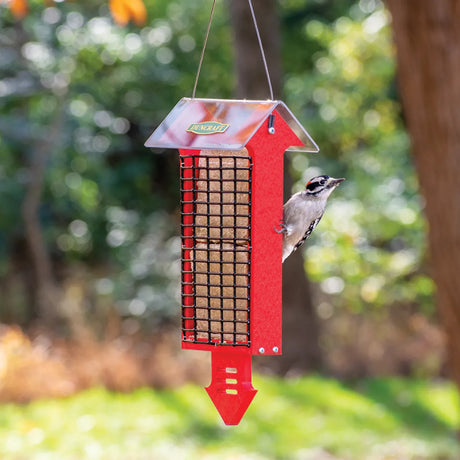 Duncraft Red Arrow Tail Prop Double Suet Feeder with weather guard, features a woodpecker feeding on suet through its two-sided wire grid.