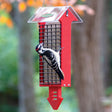 Duncraft Red Arrow Tail Prop Double Suet Feeder with a woodpecker clinging to the wire grid, feeding from one of the two suet cakes.