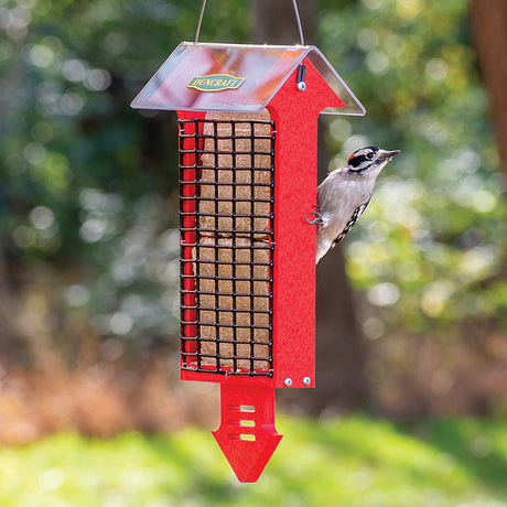 Duncraft Red Arrow Tail Prop Double Suet Feeder with a bird feeding on the suet cake, showcasing its two-sided wire grid and clearview weather guard.