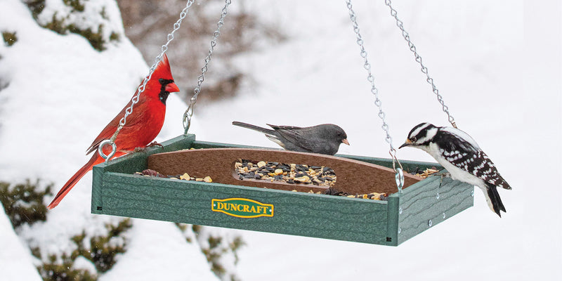 Duncraft Old Fashioned Toolbox Platform Feeder with birds and seed. 