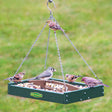 Duncraft Old Fashioned Toolbox Platform Feeder with birds perched and feeding from the open-air platform, featuring a rugged design and hanging chain.