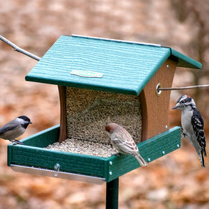 Duncraft Back to the Woods Cardinal Landing Tray with Pole, featuring birds on a feeder with a spacious seed tray and overhanging roof for weather protection.