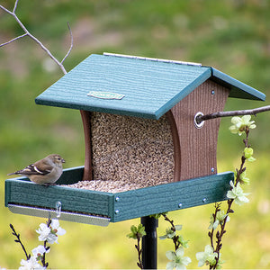 Duncraft Back to the Woods Cardinal Landing Tray with Pole: A sparrow perches on the feeder's extended tray, enjoying bird food under the protective overhanging roof.