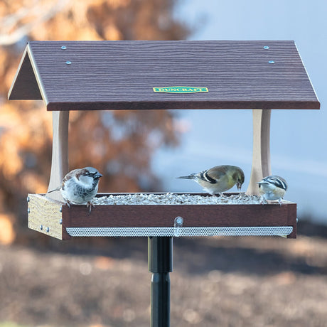 Duncraft Birdwatcher's Platform Feeder with Pole, showing birds perched and feeding on the open-view platform feeder, supported by a tall sectional pole.