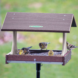 Duncraft Birdwatcher's Platform Feeder with Pole showing multiple birds feeding on the wide open mesh platform.