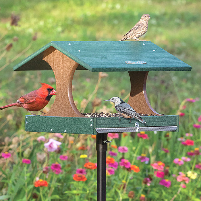 Duncraft Bird Watcher's Post Feeder with a bird perched on the platform, showcasing its wide open view and built-in perches for easy birdwatching.