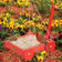Duncraft Red Wagon Hanging Platform Feeder with two Northern Cardinals feeding, features durable red recycled plastic, metal chains, and stationary wheels, ideal for birdwatching.