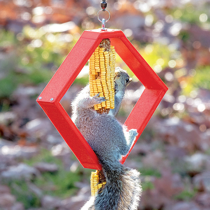 Duncraft Spinning Squirrel Feeder with a squirrel eating corn, designed to keep squirrels entertained and away from bird feeders.