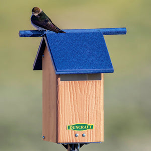 Duncraft Birds-Eye View Bluebird House and Pole with blue roof, featuring a slotted entrance and perched bird, mounted on a sturdy post.