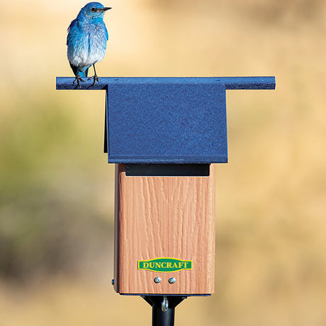 Duncraft Birds-Eye View Bluebird House and Pole, featuring a bluebird perched on a durable recycled plastic house with slotted entrance and high perches.