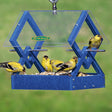 Duncraft Blue Diamond Hanging Feeder with yellow-and-black American goldfinches feeding, featuring a clear plastic roof and sturdy blue frame with aluminum perches.