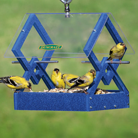 Duncraft Blue Diamond Hanging Feeder with yellow-and-black American goldfinches feeding, featuring a clear plastic roof and sturdy blue frame with aluminum perches.
