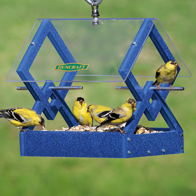 Duncraft Blue Diamond Hanging Feeder with yellow-and-black American goldfinches feeding, featuring a clear plastic roof and sturdy blue frame with aluminum perches.