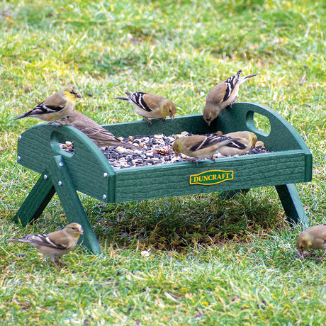 Duncraft EZ Move Ground Platform Feeder, Green, with mixed seeds, attracts female American Goldfinches, featuring a metal mesh tray for drainage and easy viewing.