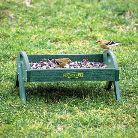 Duncraft EZ Move Ground Platform Feeder, Green, with metal mesh tray, filled with birdseed, and two American goldfinches feeding on a grassy lawn.