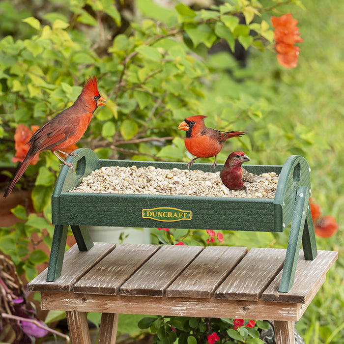 Duncraft EZ Move Ground Platform Feeder with birds perched on the raised metal mesh tray, featuring durable green recycled plastic and four legs for stability.