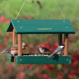 Duncraft Bird-Safe® Arch Platform Feeder with perforated tray, curved side arches, and built-in perches, hosting multiple birds feeding on a sturdy outdoor platform.