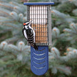 Duncraft Bird-Safe® Tail Prop Double Suet Feeder with a woodpecker perched on it, showcasing the suet feeder's two-sided wire grid and tail prop area.