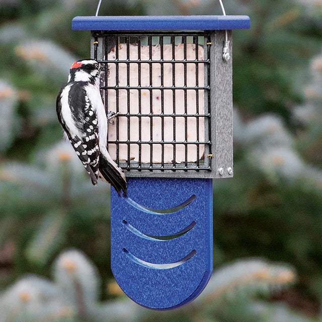 Duncraft Bird-Safe® Tail Prop Suet Feeder with a woodpecker feeding on a two-sided wire grid, designed for easy clinging and tail support.