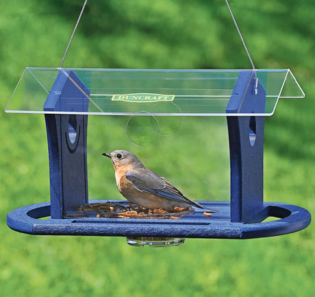 Duncraft Bluebird Cafe Feeder featuring a bird perched on one of its four wide perches, designed for easy bluebird feeding with a protective clear plastic roof.