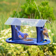 Duncraft Bluebird Cafe Feeder with bluebird eating mealworms from a dish, featuring built-in perches and plexiglass sides to deter larger birds.