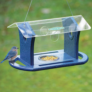 Duncraft Bluebird Cafe Feeder with a bird perched on it, featuring four wide perches and a clear plastic roof.