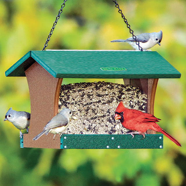 Duncraft Grandview Hopper Feeder with birds eating seeds from its built-in tray, featuring a hanging chain and overhanging roof, holding 4.5 lbs of seed.