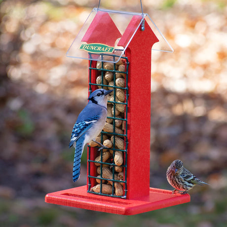 Red Arrow Whole Peanut Feeder with a blue jay eating a peanut and a finch on the tray, featuring a red house shape and wire mesh grid.