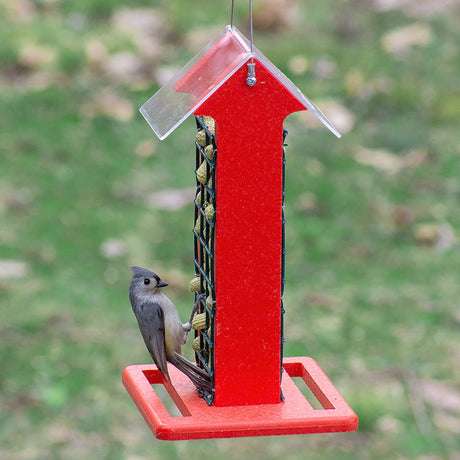 Red Arrow Whole Peanut Feeder with a wire mesh sleeve, stocked with peanuts and visited by a tufted titmouse, features dual-side feeding and a clear roof.