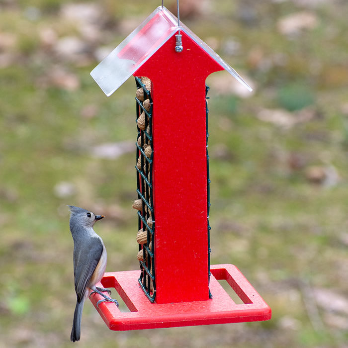 Bird perched on the Red Arrow Whole Peanut Feeder, designed with wire mesh for easy bird feeding from two sides.