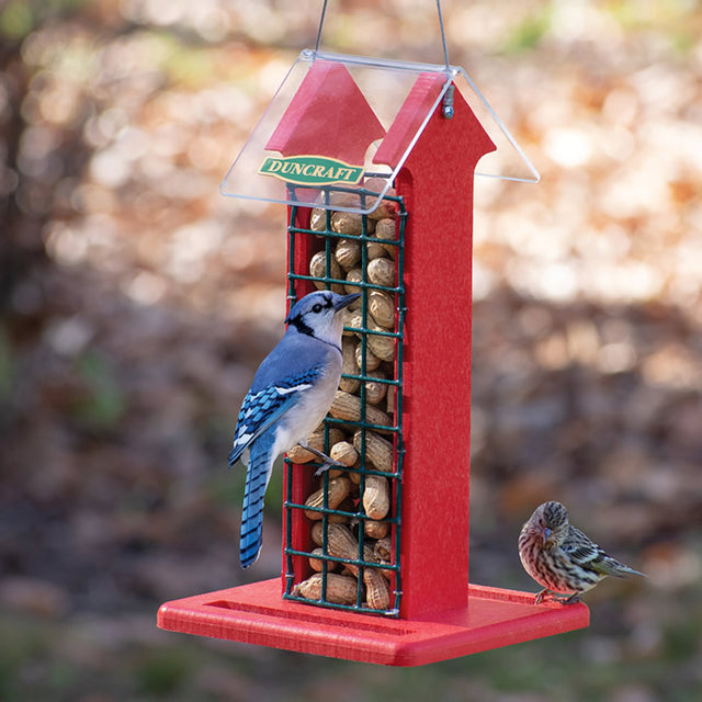 Red Arrow Whole Peanut Feeder with wire mesh grid, birds feeding on both sides, and built-in tail prop for woodpeckers, hanging outdoors.